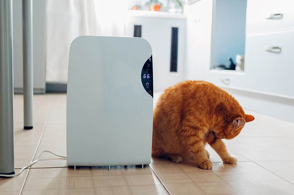 Chatbots IA : Révolutionner le Service Client